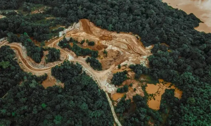 Photo of a forest with roads and open area with tire tracks.