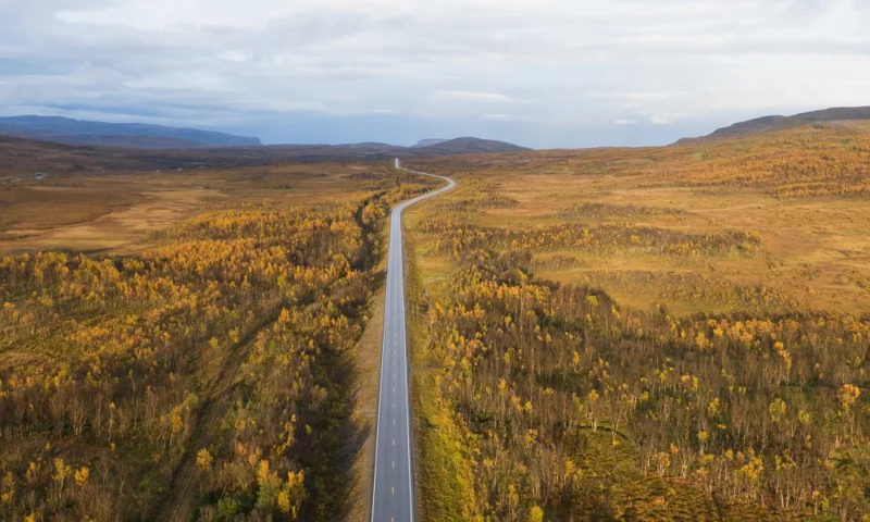 Vei natur høsten