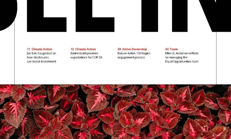 Picture of the front page of the Sustainable Investment Review